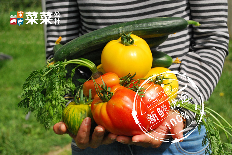 社區生鮮連鎖超市品牌策劃_菜菜公社品牌文化故事策劃-1